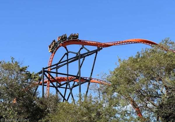 Tigris roller coaster