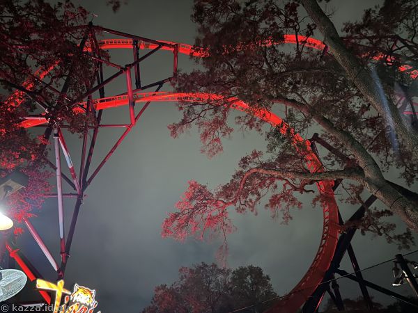 Tigris roller coaster by night