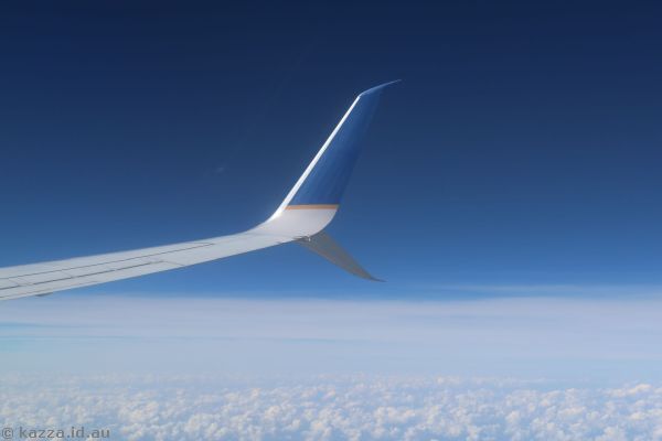 Wingtip of the plane