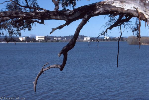 1986 - Canberra over Lake Burley Griffin from Black Mountain Peninsula