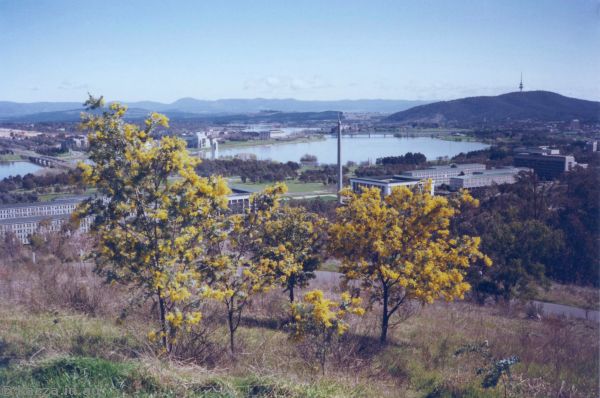 1986 - Canberra from Mount Pleasant
