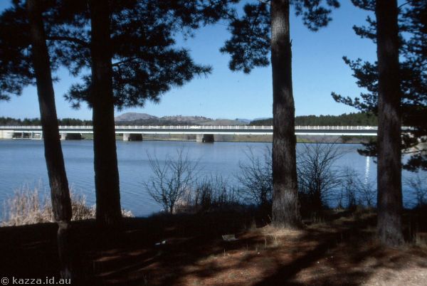 1986 - Scrivener Dam through the pine trees