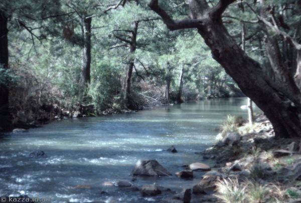 1986 - Cotter River