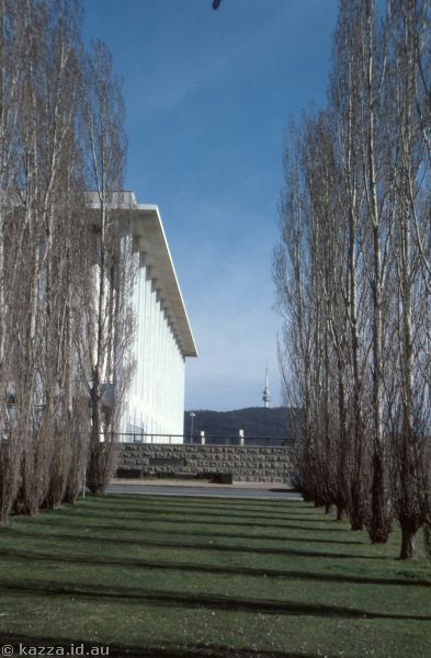 1986 - Looking towards Black Mountain from near the National Library of Australia
