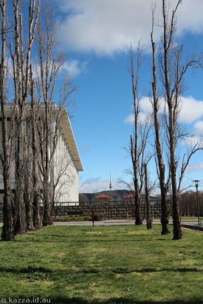 2016 - Looking towards Black Mountain from near the National Library of Australia