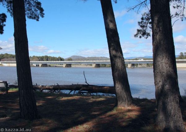 2016 - Scrivener Dam through the pine trees