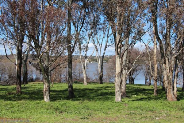 2016 - View towards Canberra Rowing Club and Yarralumla