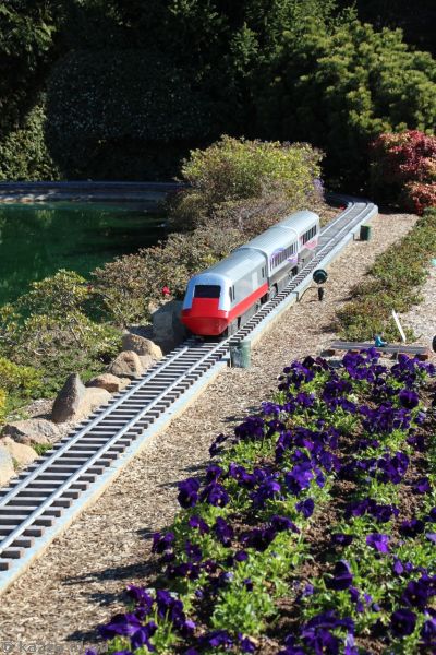 2016 - Intercity Train at Cockington Green