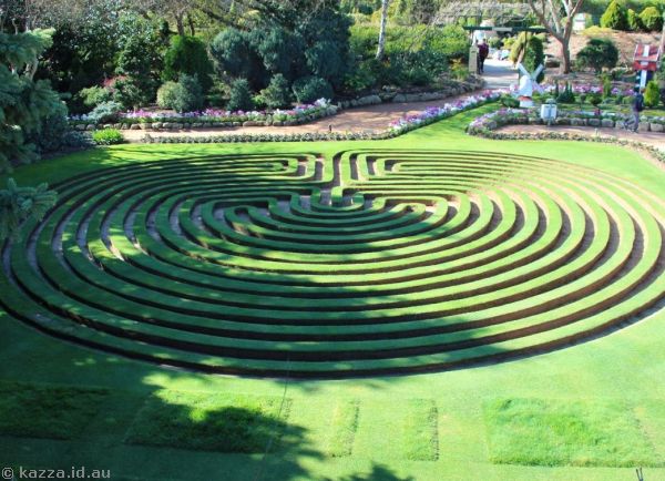 2016 - The Maze at Cockington Green.  The trees around are a lot bigger so there's a lot more shadows on the maze!