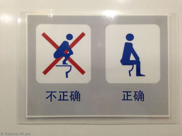 Asian women need instructions on how to use the toilets