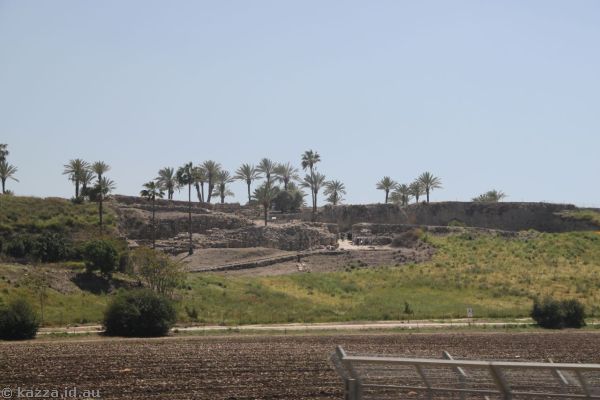 Tel Megiddo from the road