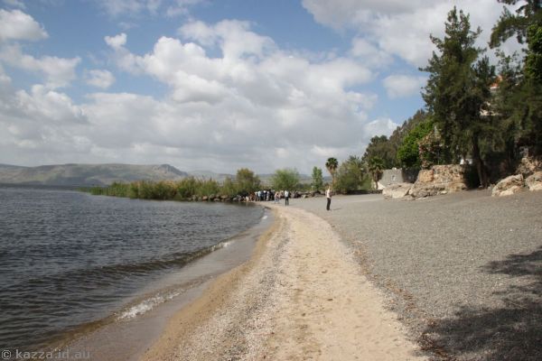 Beach at Tabgha. Jesus probably walked on this beach at some point!!