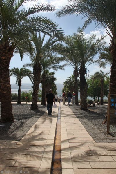 Garden and water course at Capernaum National Park