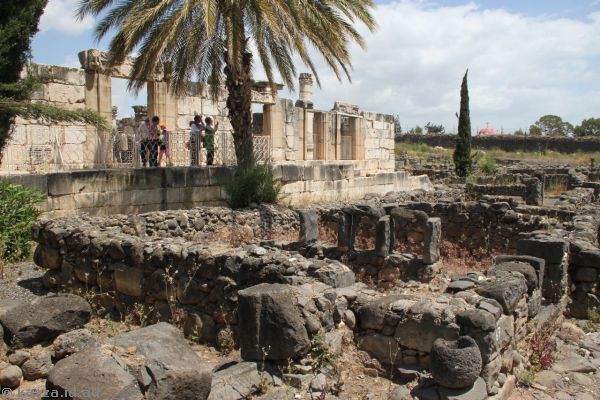 Excavations at Capernaum