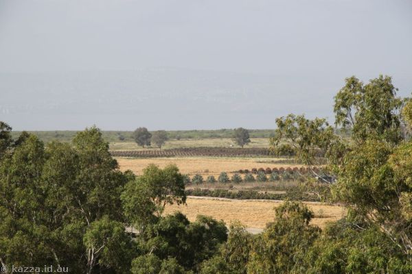 View towards what used to be the Sea of Galilee but has now been silted up