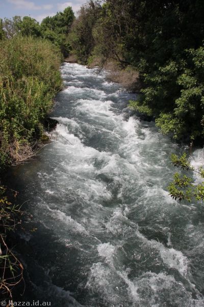 The Dan River