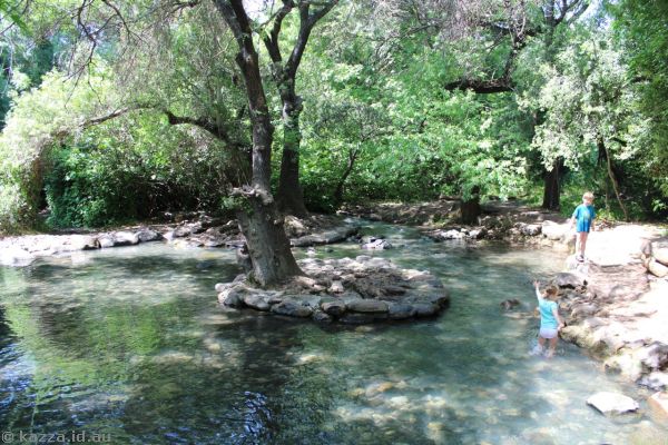 Kids in the pool in Tel Dan Reserve<br/>Photo by Dad