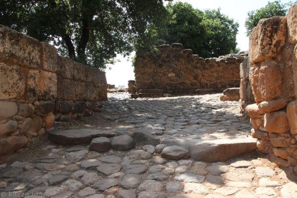 Tel Dan