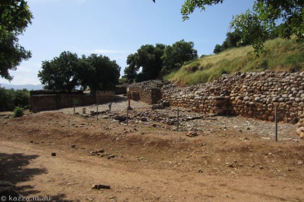 Tel Dan<br/>Photo by Mum