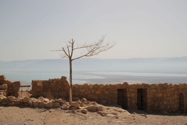 View east from Masada