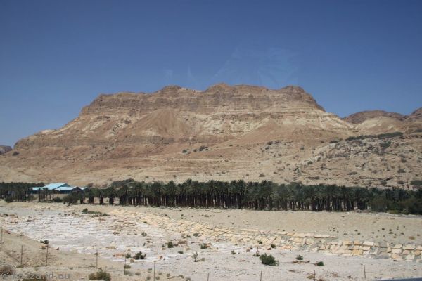 View towards Ein Gedi oasis