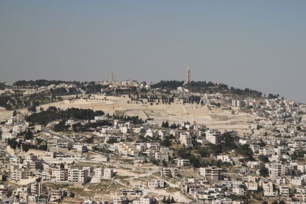 View towards the Mount of Olives from Trotner Park