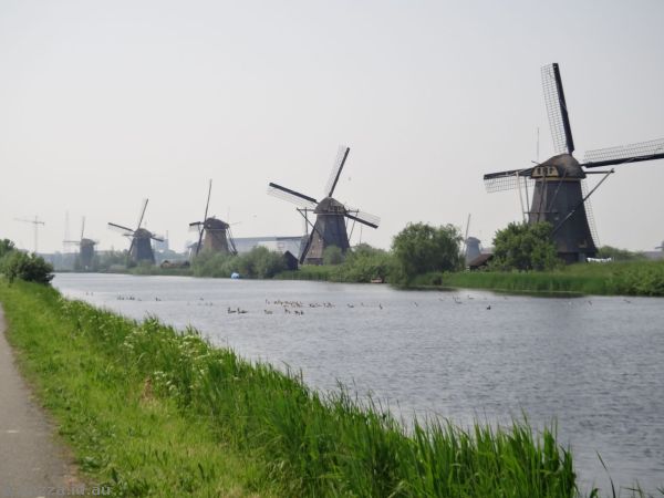 Windmills and canal in Kinderdijk
