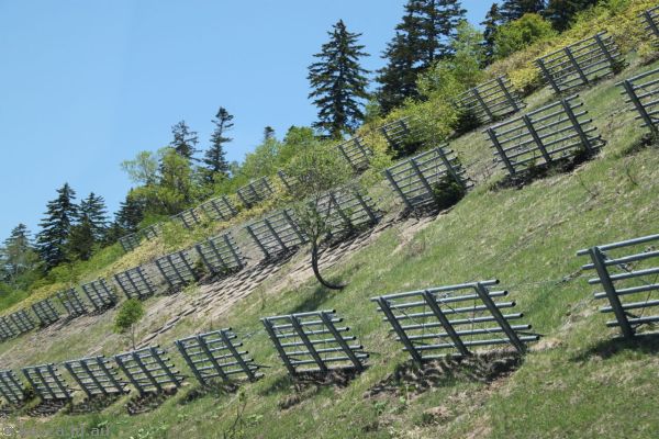 Avalanche barriers