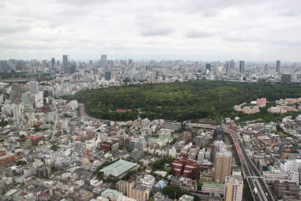 View from our room at the Park Hyatt Hotel
