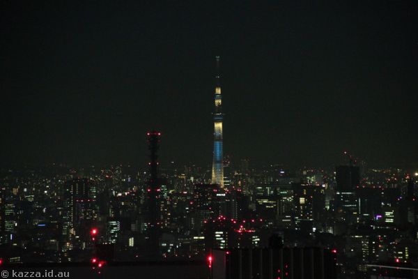 Tokyo Sky Tree by night