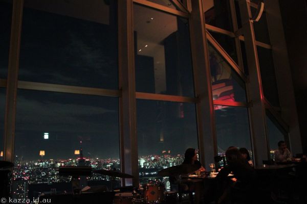 View from the New York Bar