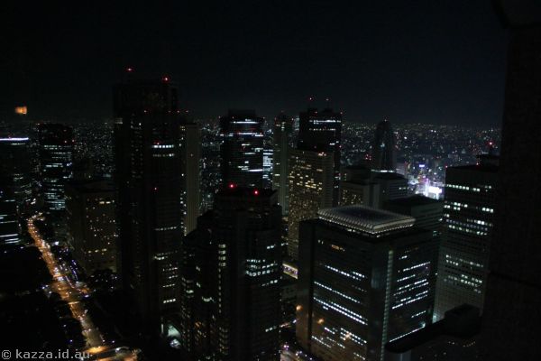 View north from the New York Bar