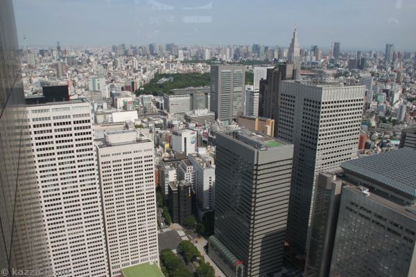 View east