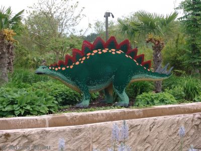 A stegosaurus