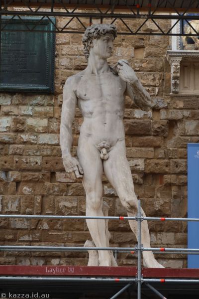 Reproduction of Michelangelo's David