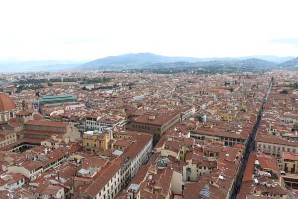 View north from Campanile di Giotto