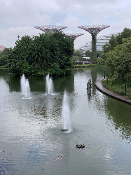 Dragonfly Lake and Supertrees from Dragonfly Bridge