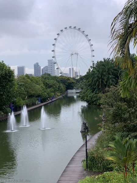 Dragonfly Lake and Singapore Flyer from Dragonfly Bridge