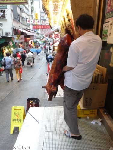 Pig!