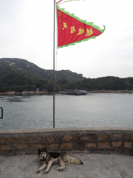 Flag and dog at Tin Hau Temple