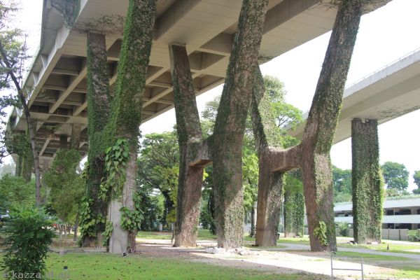 Park under Benjamin Sheares Flyover
