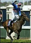 Makybe Diva