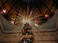 QVB Tree