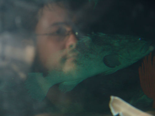 Cool reflection of Stu watching a fish