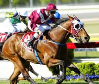 On A Jeune winning the Cranbourne Cup