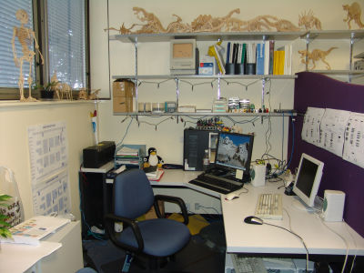 workstation.jpg
