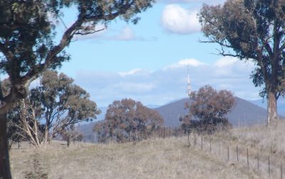 canberra countryside
