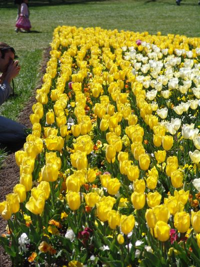floriade10.jpg