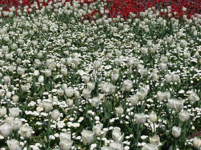 floriade11.jpg