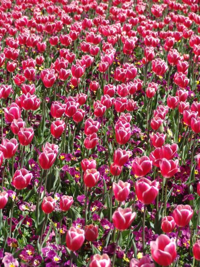 floriade13.jpg